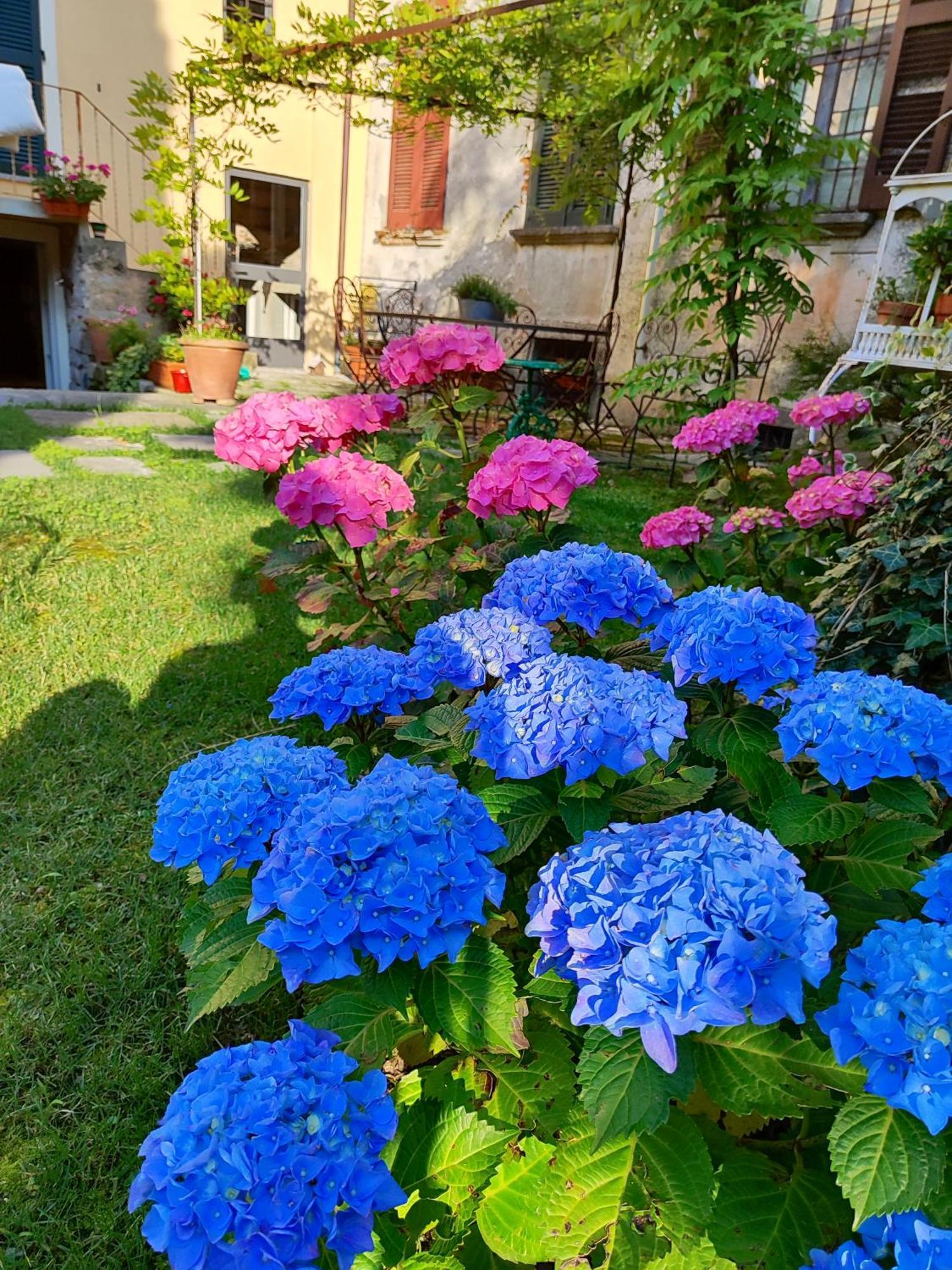 Bed and Breakfast Casa Lumaca Тремеццо Екстер'єр фото
